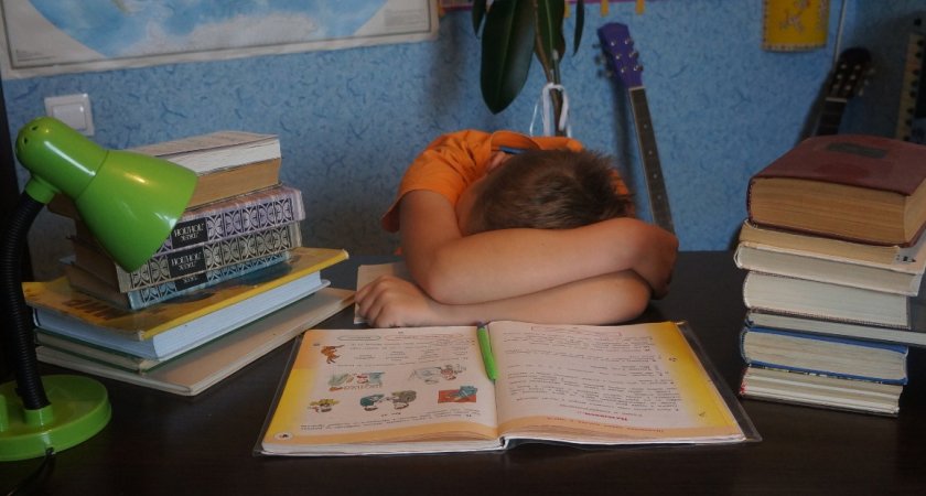 Нижегородские школы ожидает ряд преобразований в новом учебном году