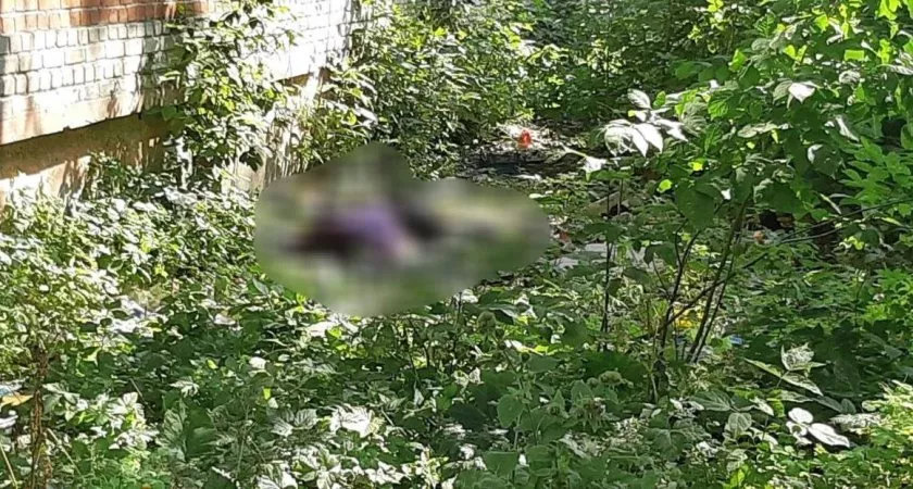 Фото к статье: В Дзержинске женщина выпала из окна квартиры