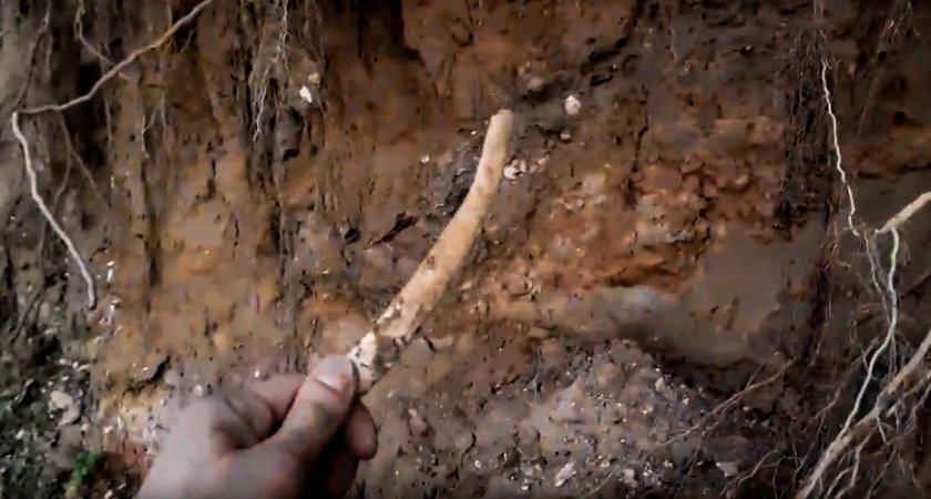 Человеческие останки обнаружили в Нижегородском кремле