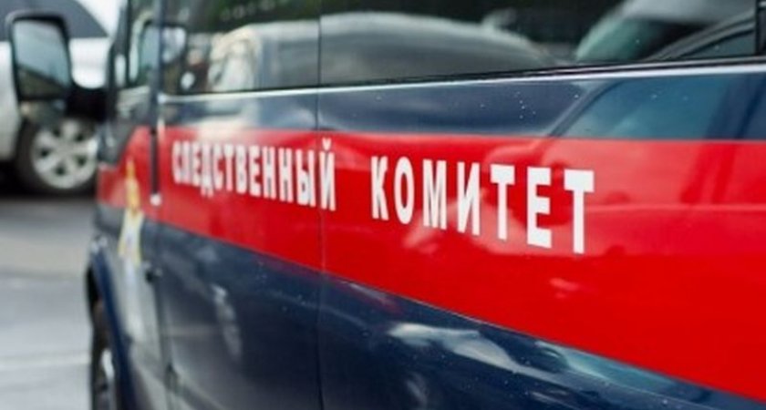 Дети в загородном лагере “Восток” массово пожаловались на плохое самочувствие