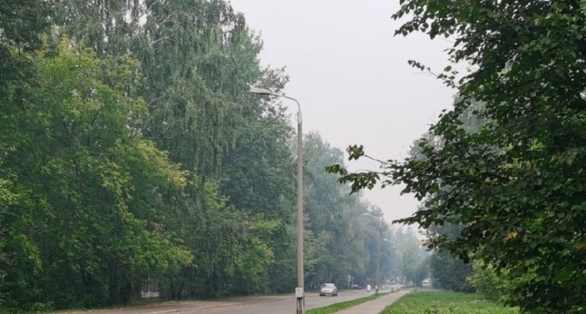 Жители нескольких городов и районов Нижегородской области жалуются на запах гари