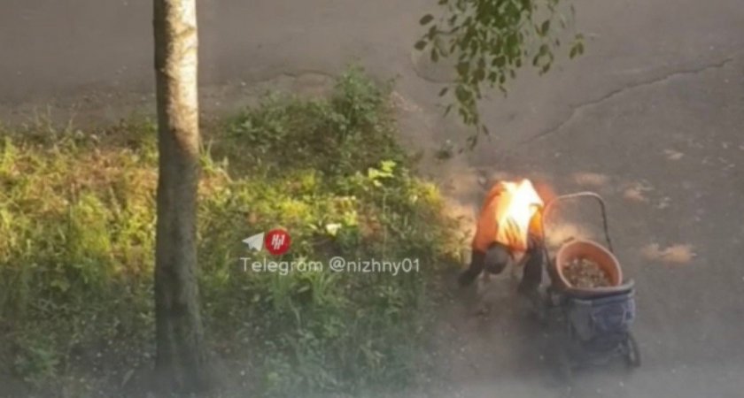 Домоуправляющая компания выдала дворнику детскую коляску в качестве инвентаря для работы
