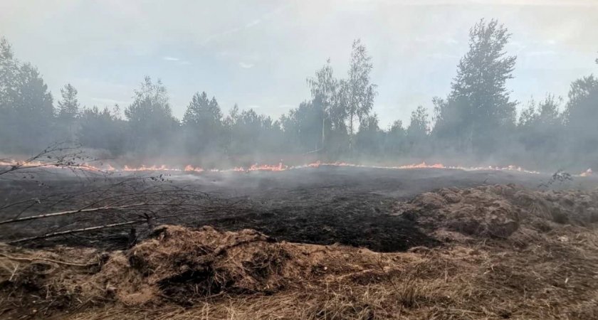 В Нижегородской области ввели режим ЧС из-за пожаров