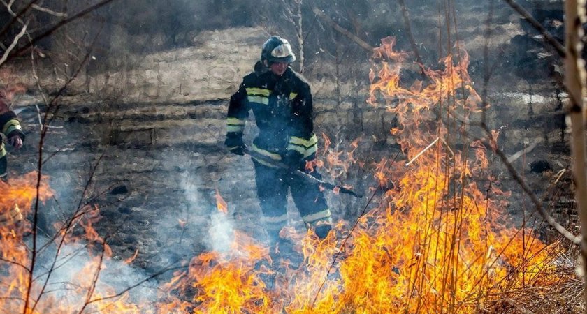 Лесовод, отправленный на тушение пожара в Воротынский район, был найден мертвым в палатке