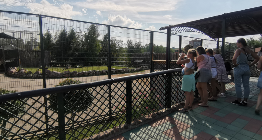 Первоклассники смогут бесплатно посетить нижегородский зоопарк