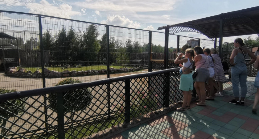 Фото к статье: Первоклассники смогут бесплатно посетить нижегородский зоопарк