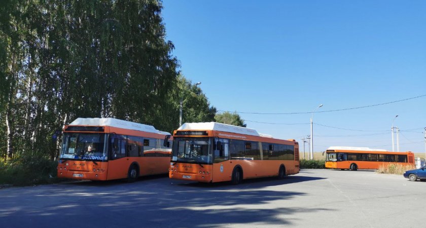 На дорогах Нижнего Новгорода обнаружены “автобусы-призраки”