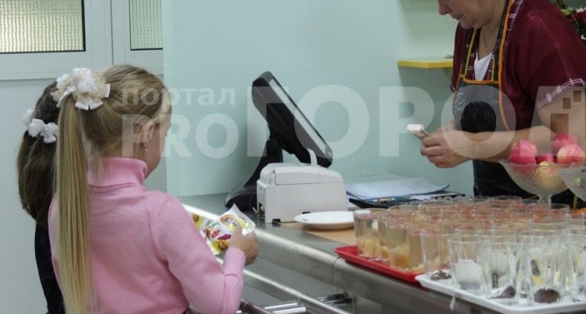 Для школьников в Нижнем Новгороде запустят единую карту для оплаты обедов и проезда