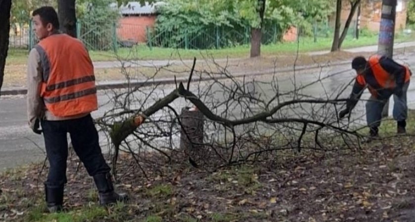 Упавшие ветки и деревья убирают с улиц Нижнего Новгорода после грозы