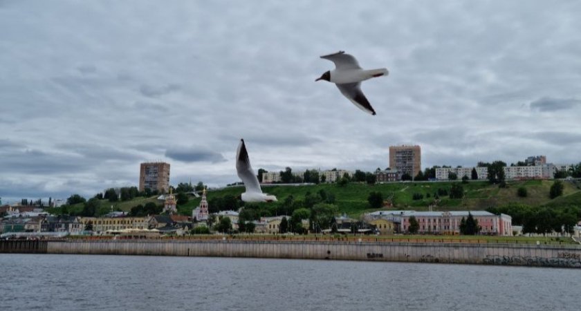 В среду в Нижний Новгород вернется пасмурная погода