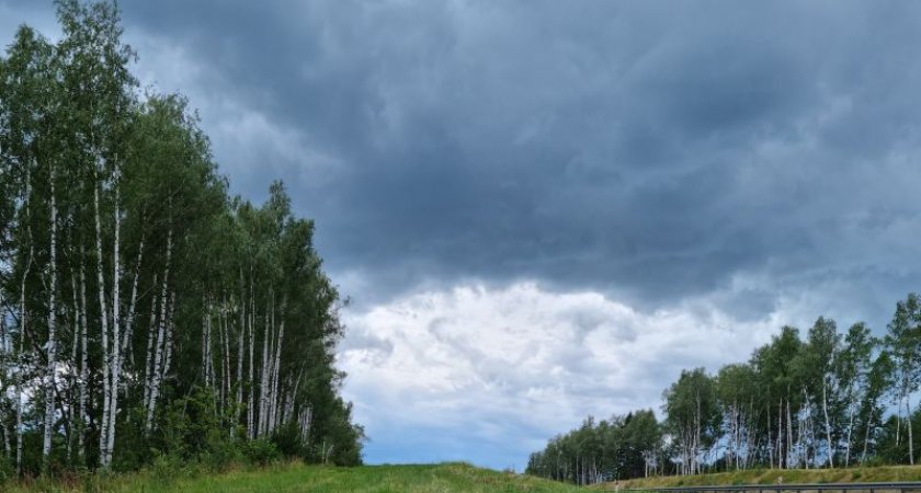 Дождливый четверг ждет нижегородцев