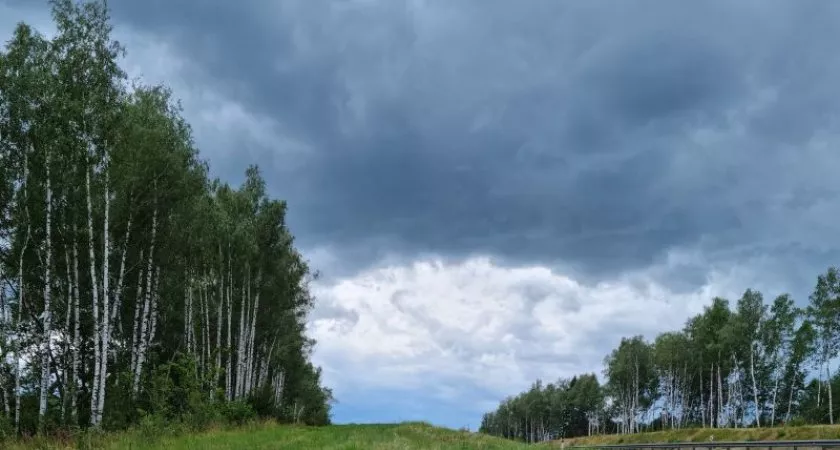Фото к статье: Дождливый четверг ждет нижегородцев