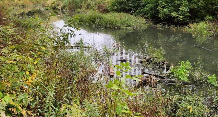 Более 37 млн рублей будет выделено Нижегородской области на расчистку русла реки Борзовка 
