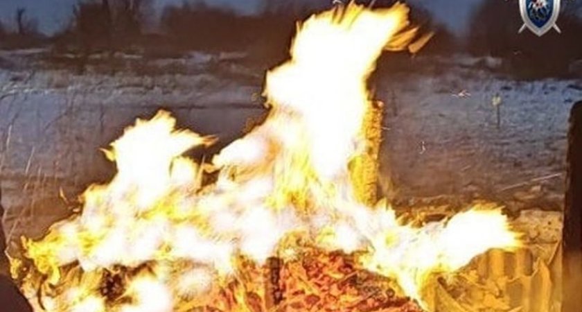 Следователи назвали одну из версий пожара с погибшим в Нижегородской области