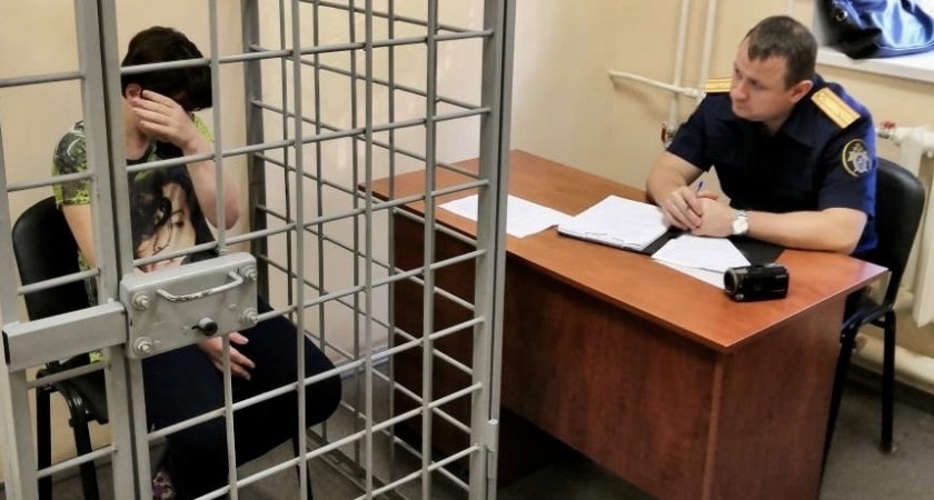 Кировчанка под предлогом проверки счетчика в доме, украла у родственницы 520 тысяч рублей