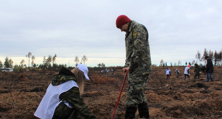 Сгоревший человек в огне фото