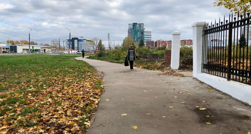 Во вторник в Нижегородской области поднимется сильный ветер