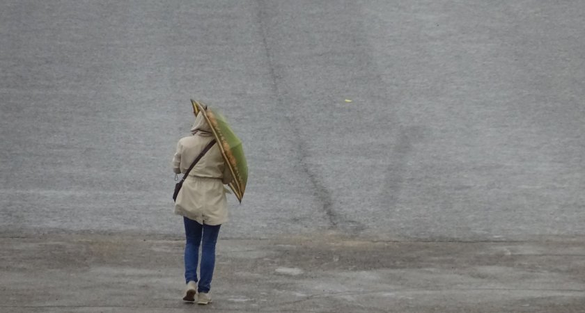 Дождливая, но теплая середина недели ждет нижегородцев