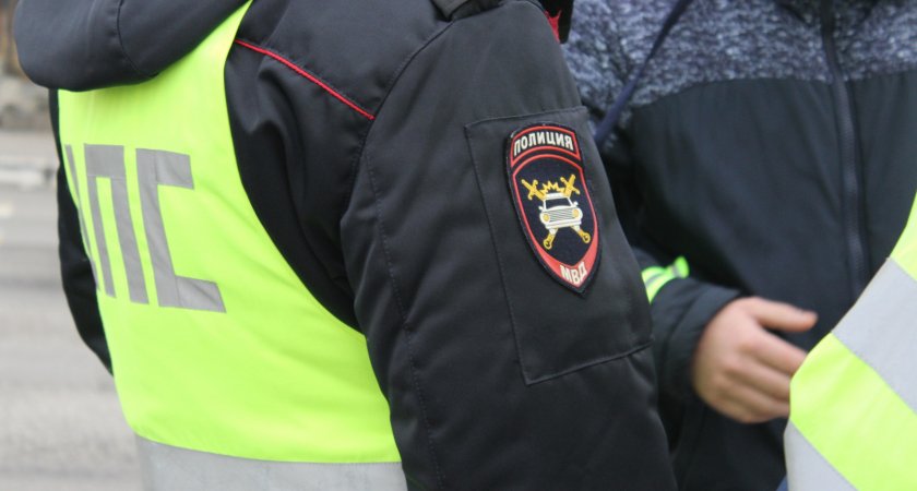 Нижегородские инспекторы поймали преступника, учуяв запах крови в его машине