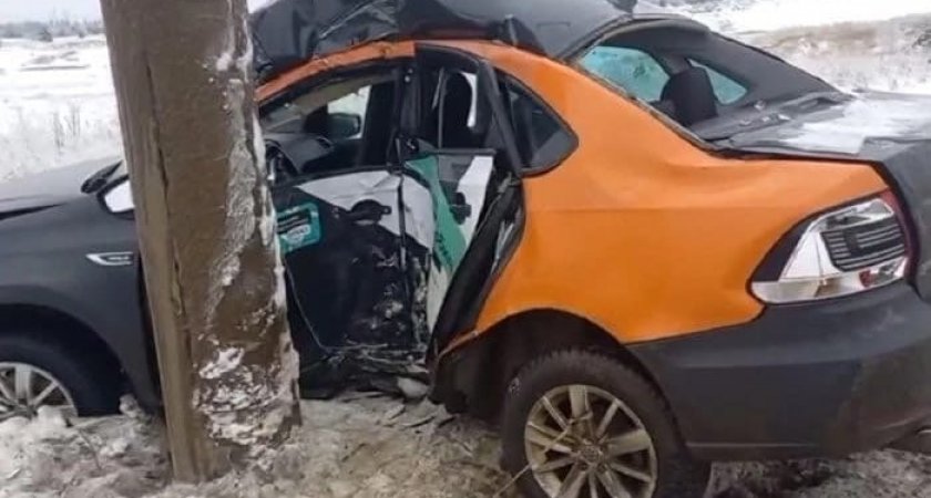 В Дзержинске два человека пострадали, врезавшись на арендованной машине в дерево