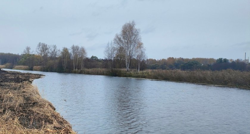 В Нижегородской области завершились основные работы по расчистке рек Имзы и Княгинки