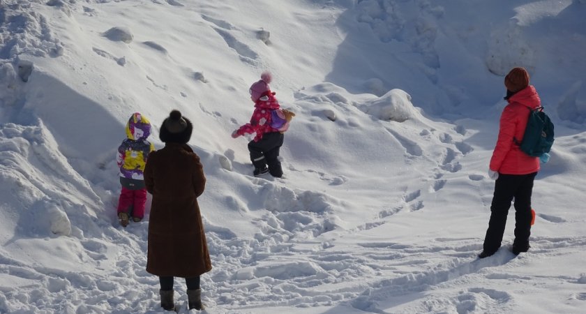 Семь в одном: новый вид пособия для нижегородцев с детьми появится с нового года