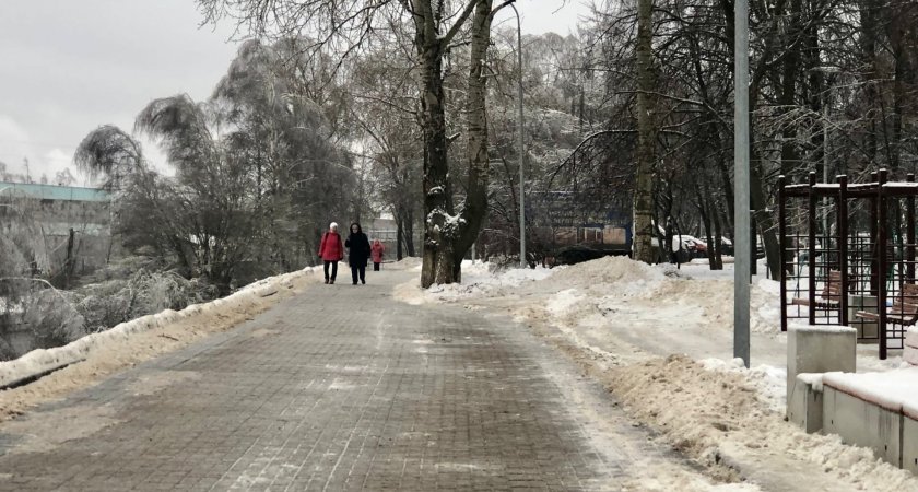 В воскресенье в Нижегородской области пойдет мокрый снег