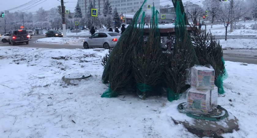 В Нижнем Новгороде заработали базары с живыми елями