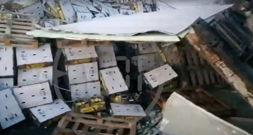 Нижегородцы остались без ананасов на Новый год из-за дальнобойщика