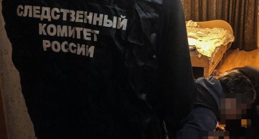 Нижегородец тремя выстрелами из пистолета убил знакомого 