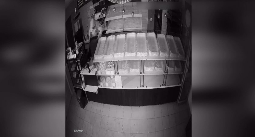 В Нижнем Новгороде серийного похитителя нашли по силуэту с камеры