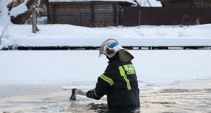 Нижегородские пожарные ежедневно рубят лед, помогая стае уток