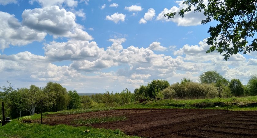 Особо отличившимся нижегородским бойцам СВО планируют выдавать земельные наделы