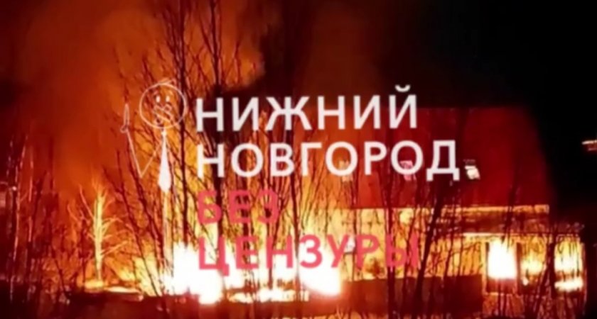 В Нижегородской области сгорел вольер с павлинами на 1,5 миллиона рублей