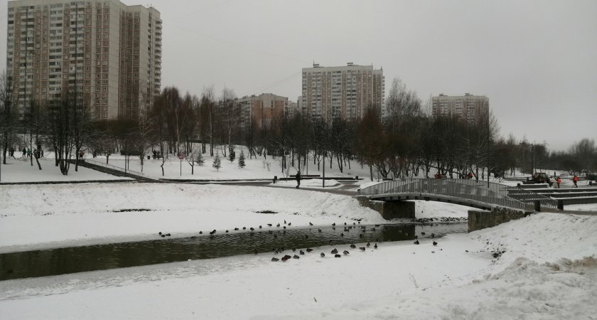 Февраль поприветствует нижегородцев мокрым снегом