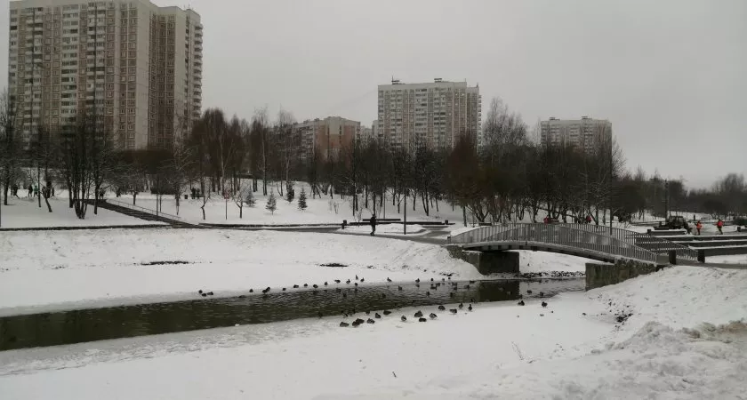 Фото к статье: Февраль поприветствует нижегородцев мокрым снегом