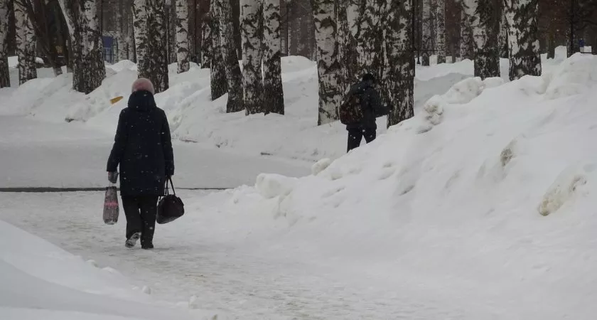 Фото к статье: Блогерка, авторка, докторка: нижегородки признались, насколько их раздражают феминитивы