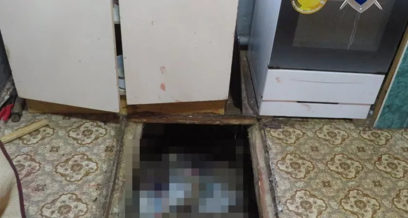 Фото к статье: В Кулебаках женщина обнаружила тело убитого мужа в погребе