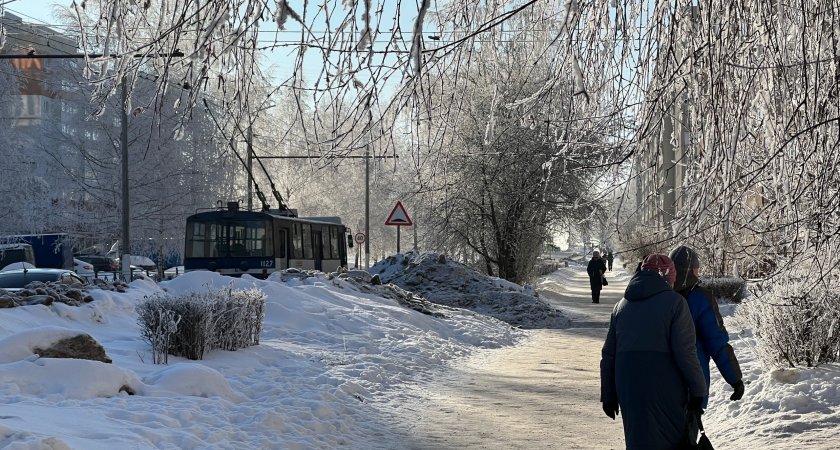 Добродушие жительницы Заволжья обернулось финансовой бедой