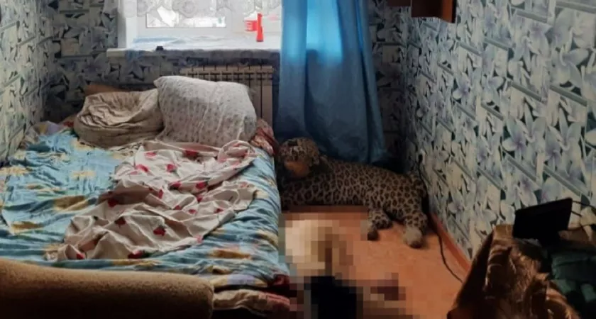 Фото к статье: В Выксе задержали женщину по подозрению в убийстве сына