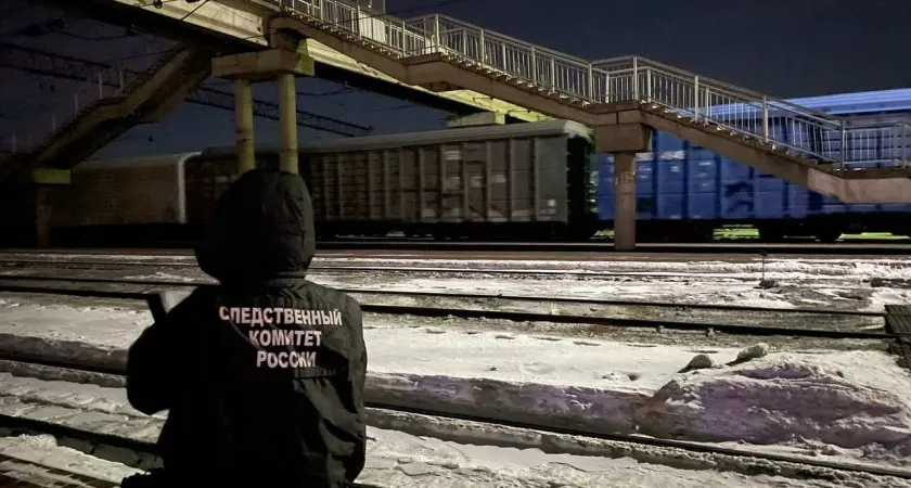 Фото к статье: В Нижегородской области женщину насмерть сбила электричка