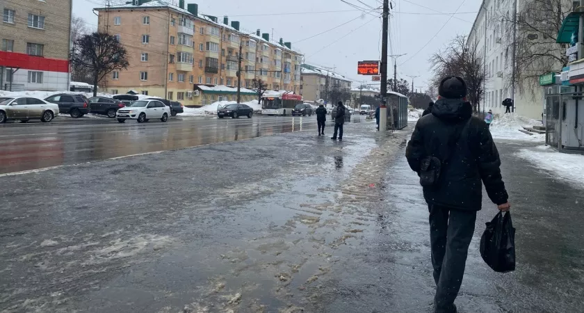 Фото к статье: Весна и в понедельник продолжит плавить снег в Нижнем Новгороде “плюсом” и дождем