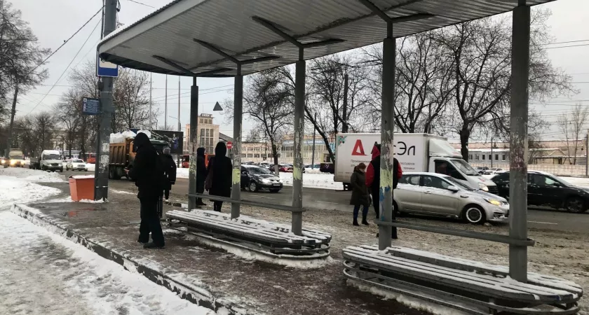 Фото к статье: Роспотребнадзор спасет нижегородцев от Wildberries: "Не имеют права требовать ваши деньги"