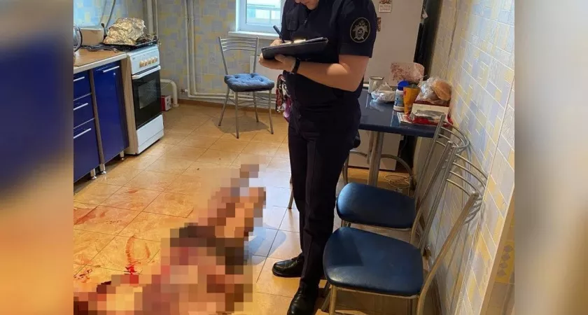 Фото к статье: В Кстовском районе женщину отправили в колонию общего режима за убийство мужчины