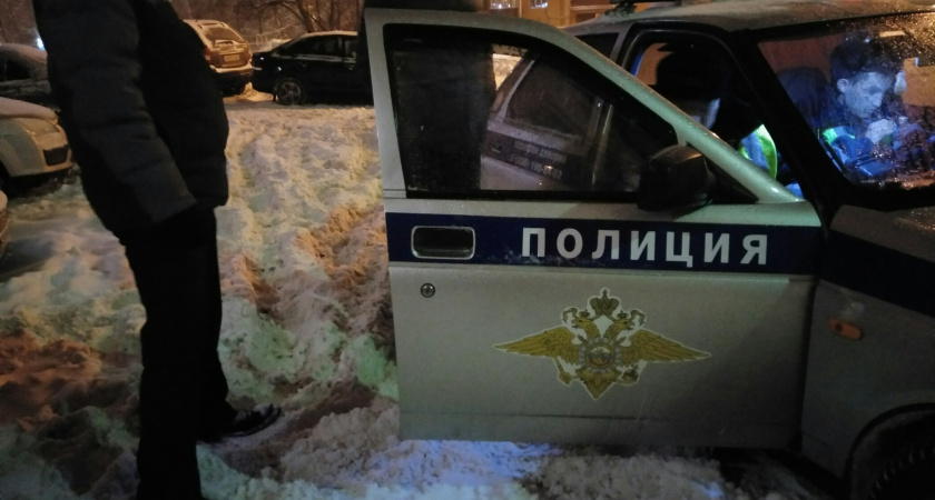 В Нижегородской области поймали парней, которые обокрали пенсионерок на 800 тысяч