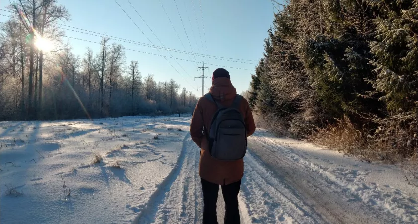 Фото к статье: За незаконной рубкой нижегородского леса будут следить из космоса