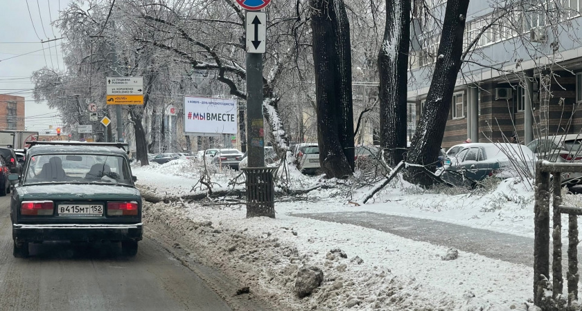 Олег Беркович будет организовывать досуг в Нижнем Новгороде для жителей Донбасса