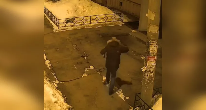 Фото к статье: Нижегородец напал на молодых людей с ножом