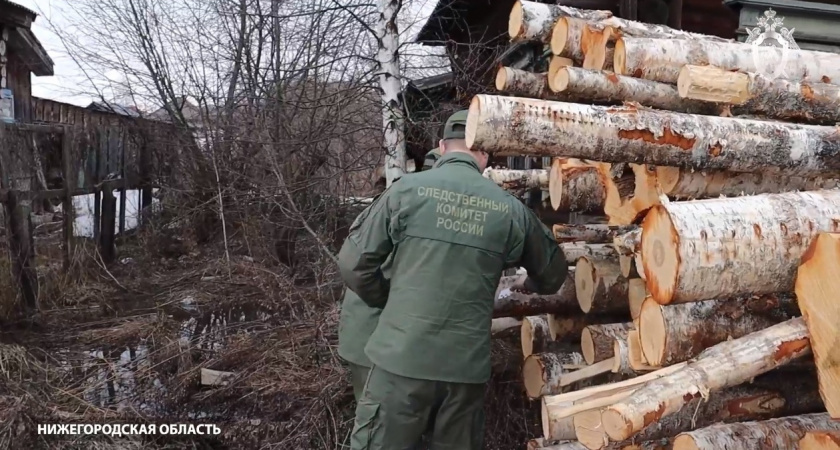 Убийство трех человек на нижегородской лесопилке в 90-х раскрыли спустя 24 года