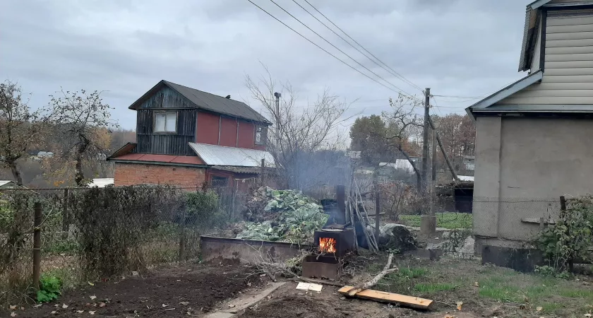 Фото к статье: Такое бывает раз в 16 лет: владельцев дач и квартир ждет сюрприз